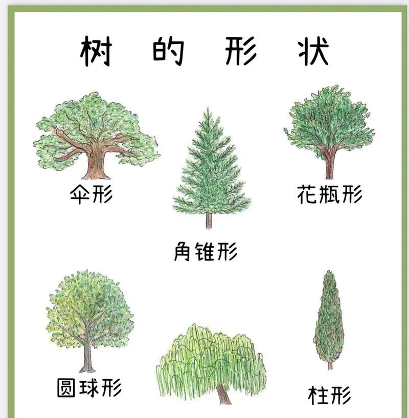 学校环境适合种植哪些树种？选择树种时应考虑哪些因素？