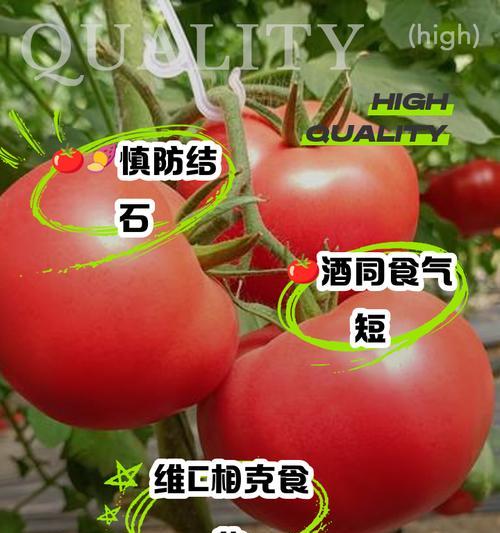西红柿出现酱油果是什么原因？如何预防？