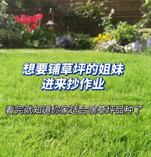 上海冬天适合种植哪种草坪？如何选择适合上海气候的草坪？