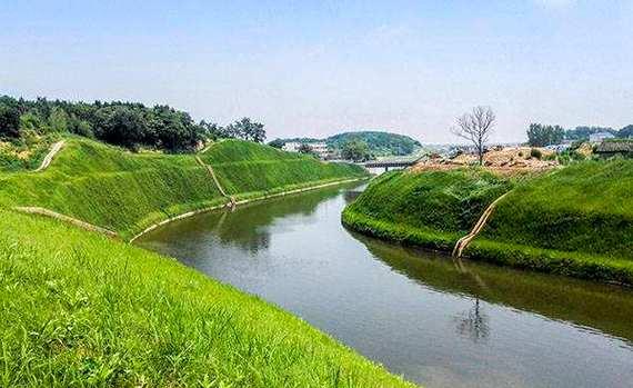 哪些植物适合用于池塘固土护坡？选择时应注意什么？