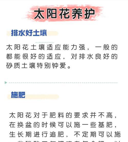 太阳花是多年生植物吗？一年生和多年生有何区别？