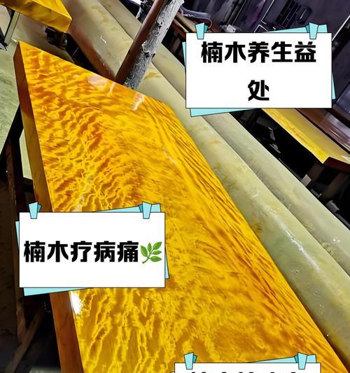 金丝楠木种子需要浸泡吗？浸泡有什么好处？