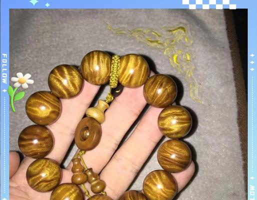 金丝楠木种子需要浸泡吗？浸泡有什么好处？