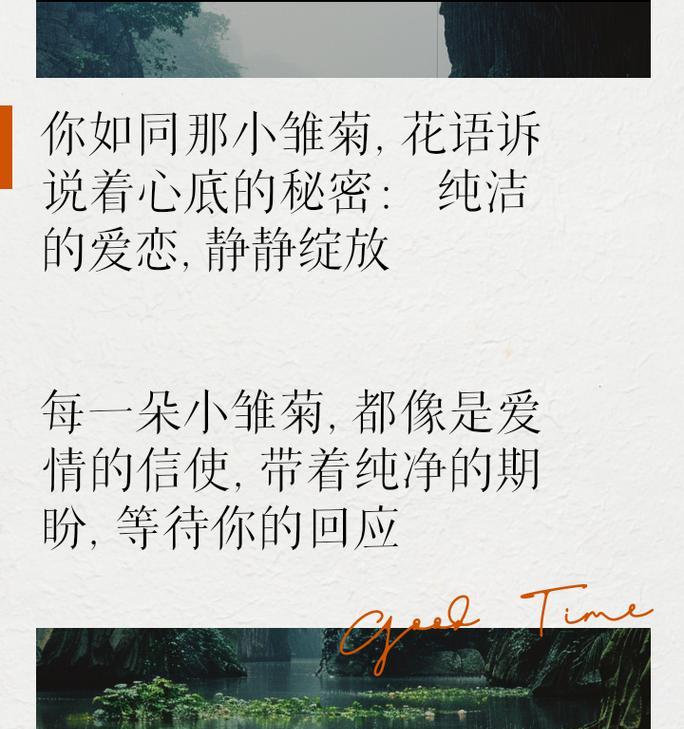 雏菊花语代表什么含义？如何表达爱意？