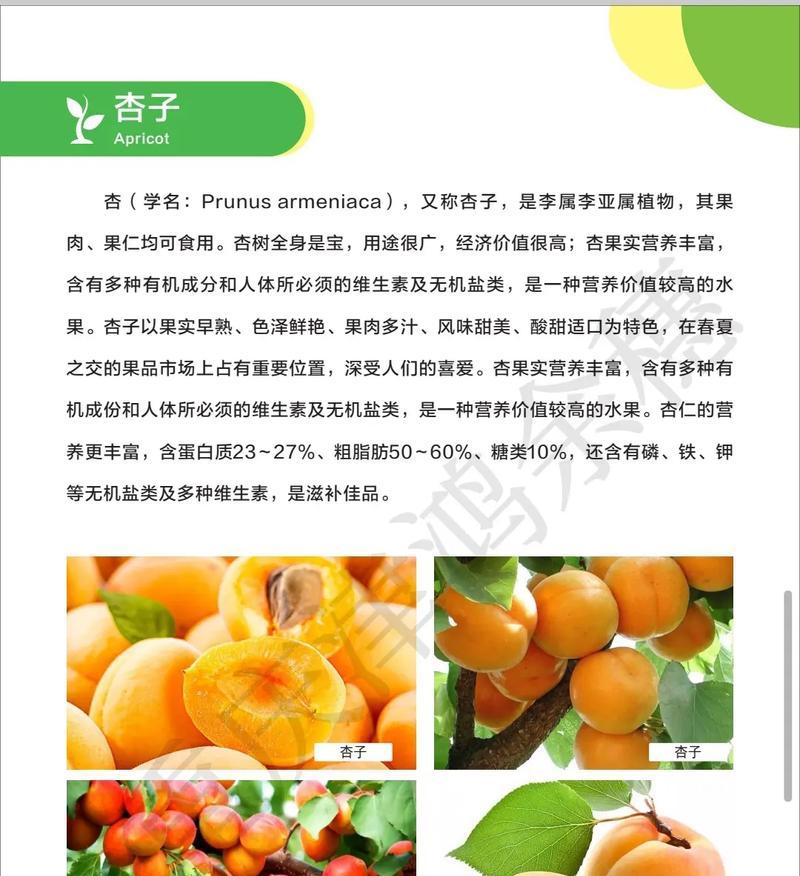 七月份适合种植杏子吗？有哪些种植要点？