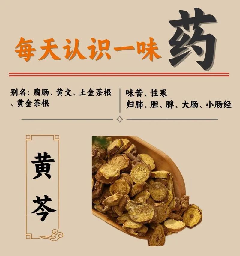罗甸黄芩怎样种植？种植罗甸黄芩有哪些注意事项？