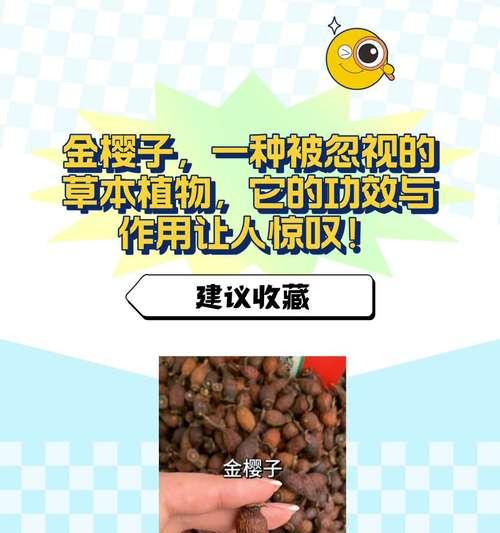 重瓣金樱子怎么种植？种植重瓣金樱子有哪些技巧？