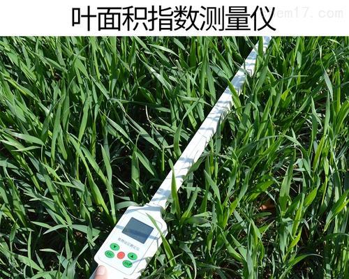 小盆栽叶面积指数怎么测量？测量叶面积指数的重要性是什么？