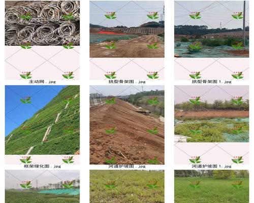 草籽撒播均匀的方法是什么？