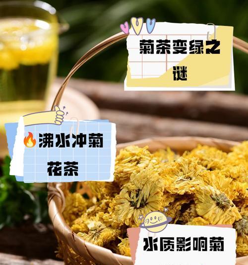 菊花泡水变绿的原因是什么？视频中如何解决？