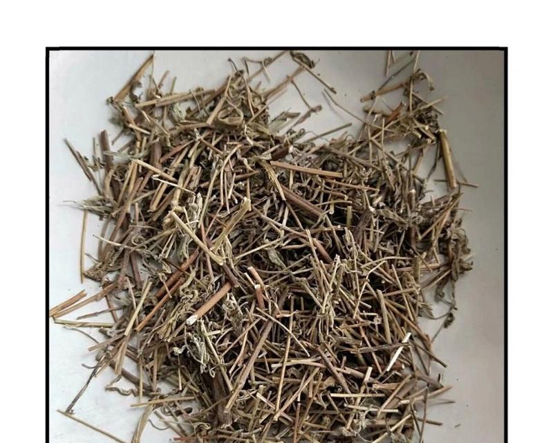 光香薷的种植技巧有哪些？如何确保光香薷的生长质量？