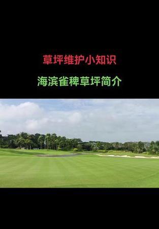 海滨雀稗草种子如何播种？播种海滨雀稗草有哪些常见问题？