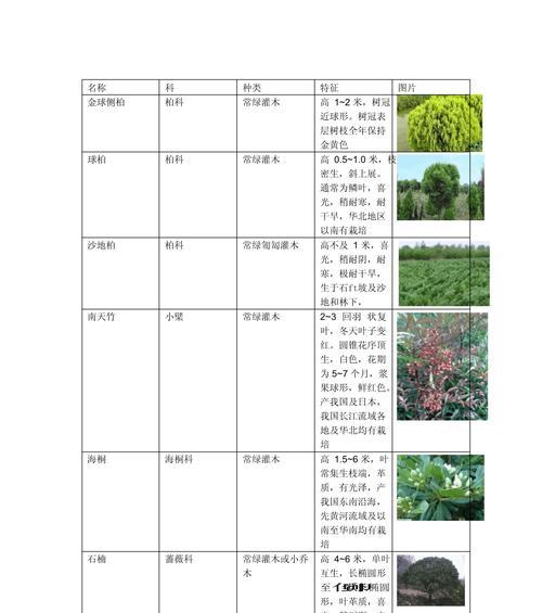 乔木和灌木土球规格怎么定？种植穴的尺寸是多少？