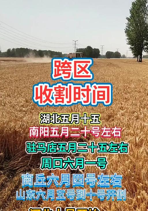 小麦的最佳收割时间是什么时候？
