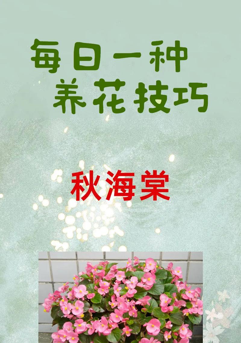 秋季在北方适合种植哪些花草？如何进行养护？