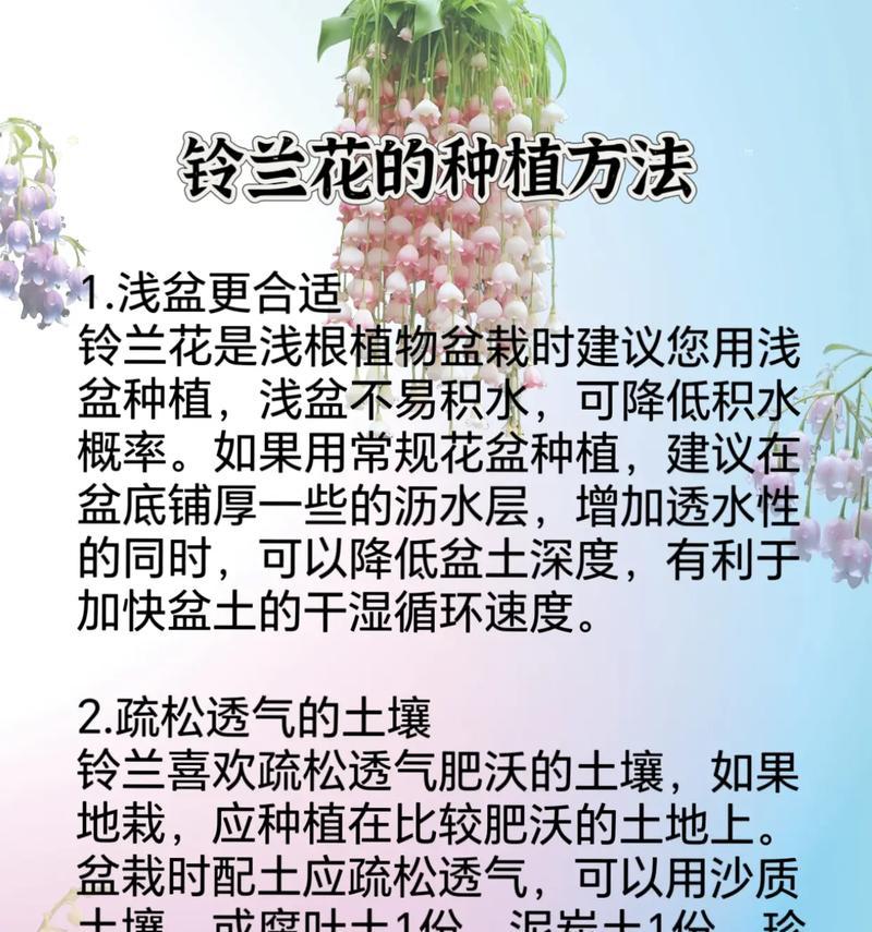 哪些花草适合在坡地上种植？种植时要注意什么？