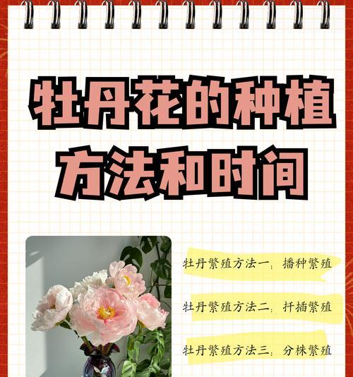 哪些花草适合在坡地上种植？种植时要注意什么？