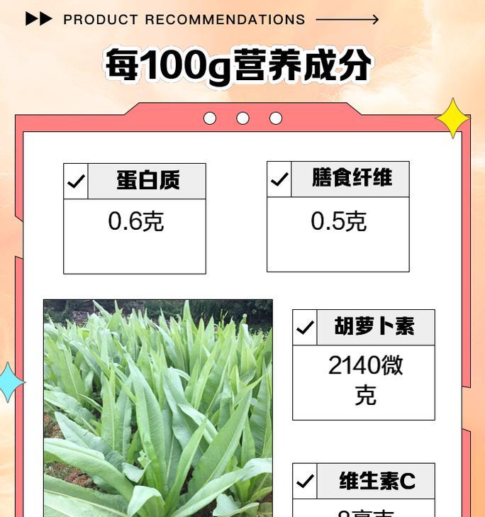 苦麦菜的施肥方法是什么？施肥量和施肥时间如何掌握？