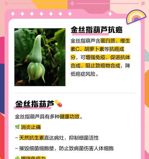 金丝慈种植需要注意哪些要点？