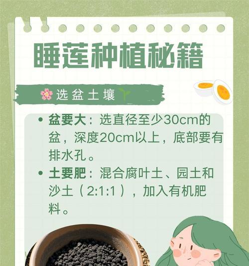 睡莲种球的标准规格？购买时应注意什么？