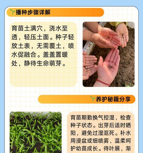桔梗七月份可以播种吗？播种桔梗的最佳时间是什么时候？