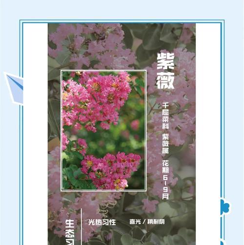 哪些开花乔木耐水湿？耐水湿乔木的种植技巧是什么？