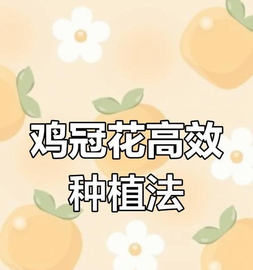 鸡冠花怎样种植？种植时有哪些常见问题？