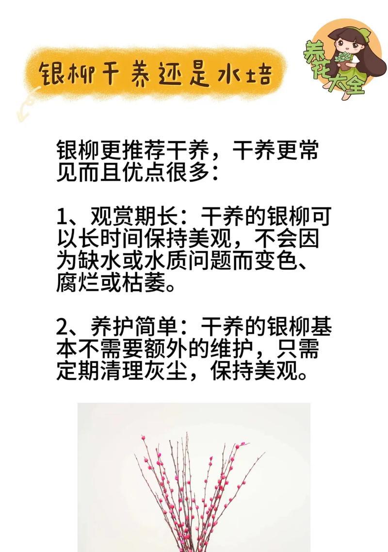 柳树如何种植？柳树种植有哪些注意事项？