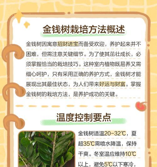 金钱树怎么种植？金钱树种植有哪些要点？