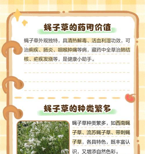 玉山蝇子草如何种植？种植过程中需要注意什么？