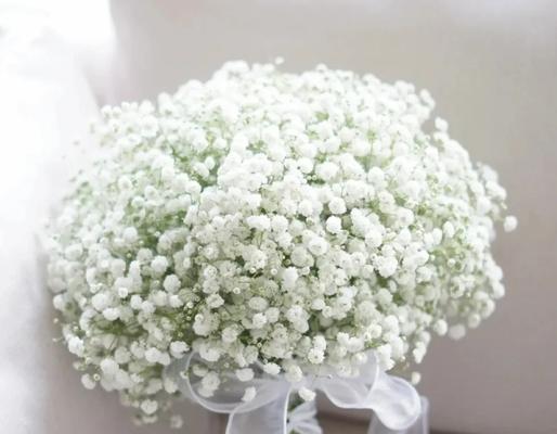 luk花束中通常包含哪些花语？