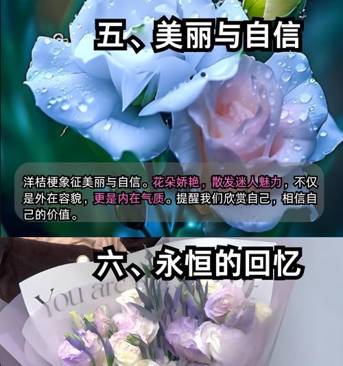 洋结梗的花语有何特别之处？它象征着什么？