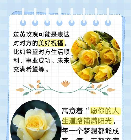 玫瑰花语有哪些不同的含义？