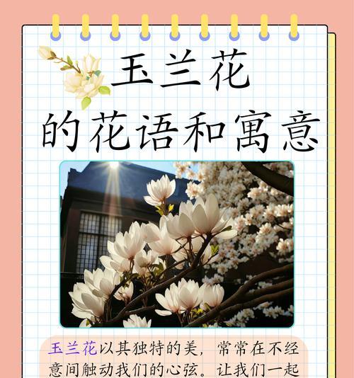 送花给依依有何深意？花语中隐藏了哪些情感？