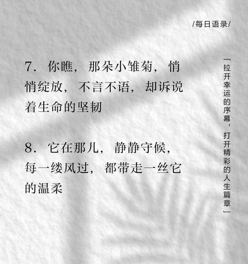 玫瑰小雏菊的花语和寓意是什么？
