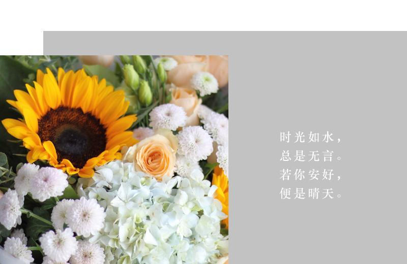 玫瑰小雏菊的花语和寓意是什么？