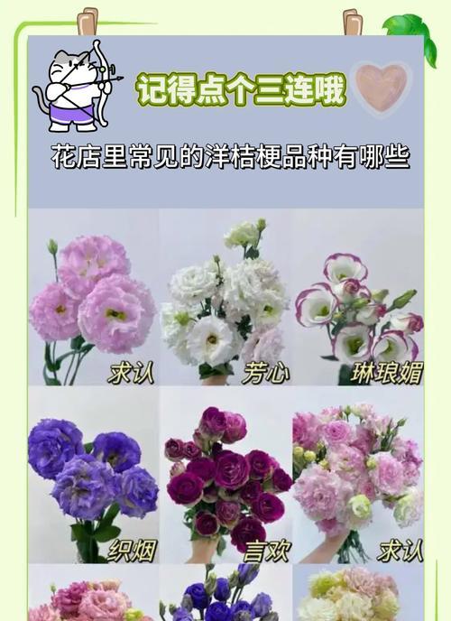 绿桔梗的花语及寓意是什么？它传达了哪些情感？
