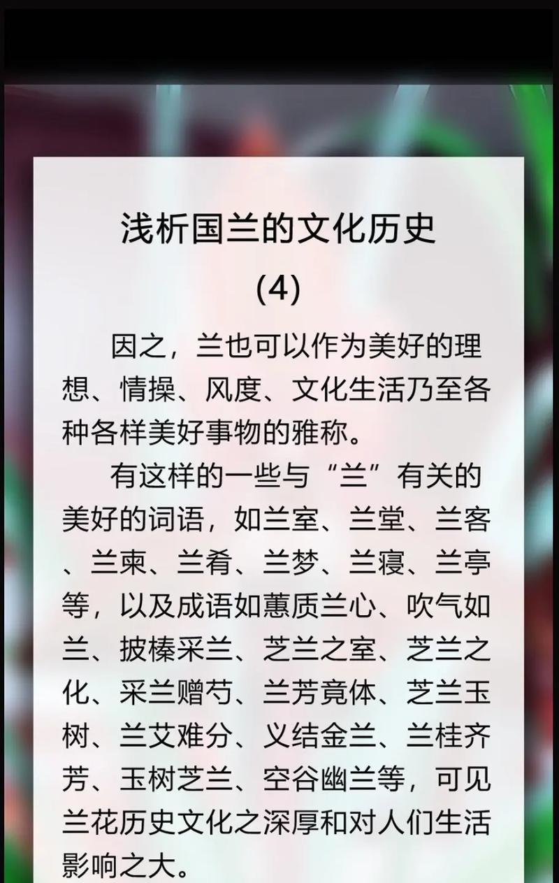 明兰花语有何特殊含义？它代表了什么？