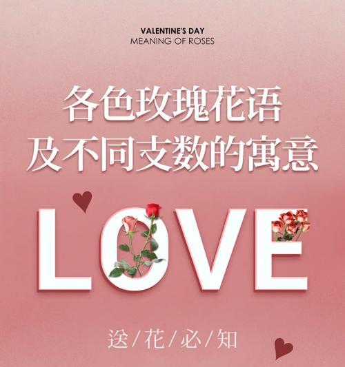 恋人相见时的花语有何意义？