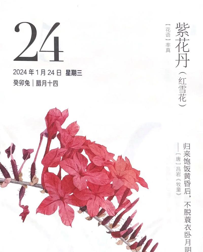 花语可以用哪些词语来形容？