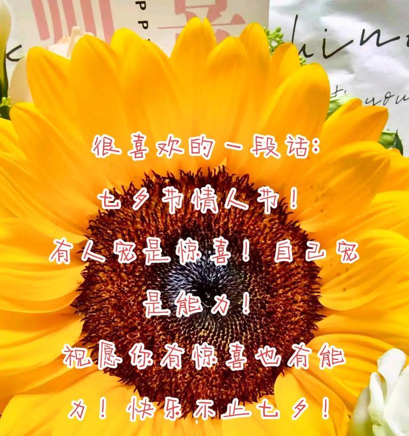 什么样的花语最能表达浪漫？