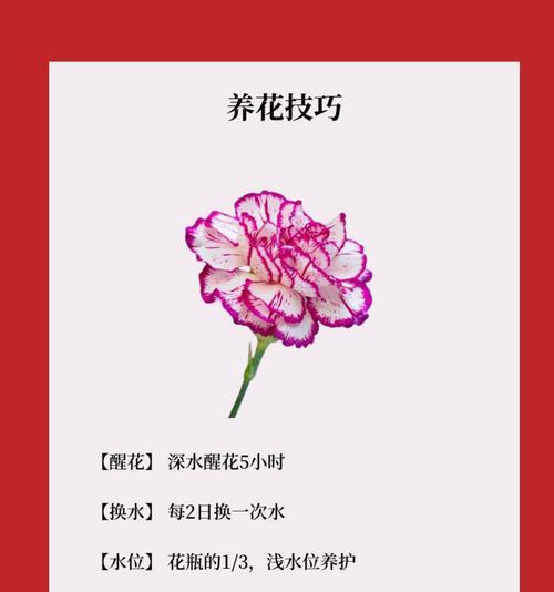 如何用花语表达疯狂的爱？
