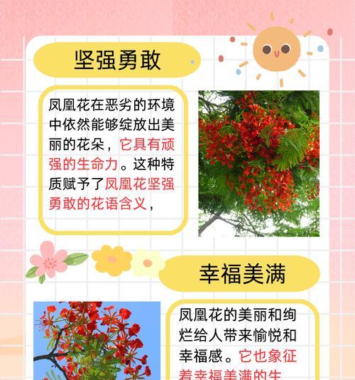 回忆之花的花语和寓意有何深意？