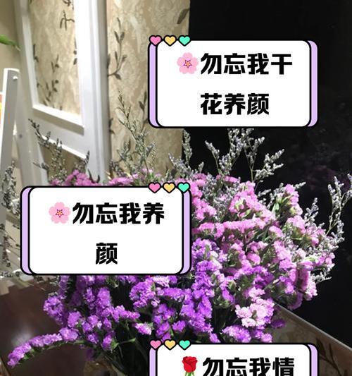 回忆之花的花语和寓意有何深意？