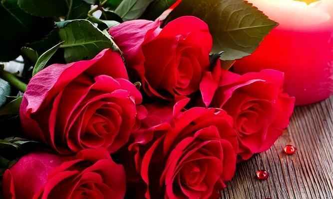 36朵玫瑰花代表什么含义？它的花语是什么？