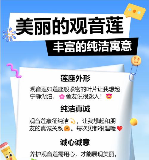 多肉植物的寓意和象征花语是什么？它们代表了什么？