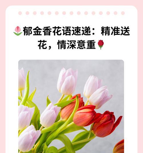 郁金香的花语有哪些？花期是何时？
