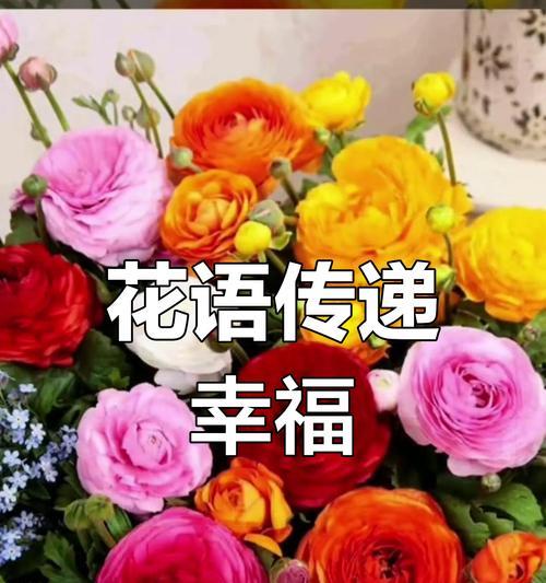什么花语代表幸福？