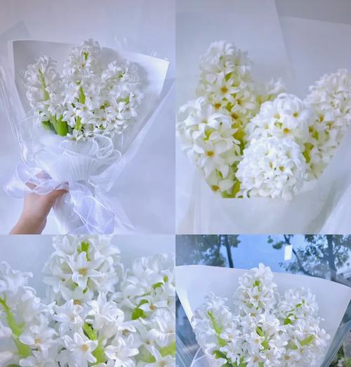 好看的心动花语是什么？哪种花语最能打动人心？