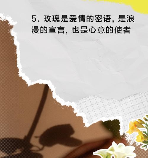 为什么偏爱玫瑰有特别的花语含义？